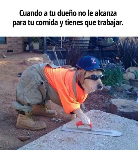 Fernando Vargas tweet media