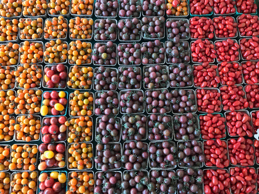CalabasasFM's tweet photo. It's definitely tomato season! Check out these beauties! https://t.co/VEaUE86tMH