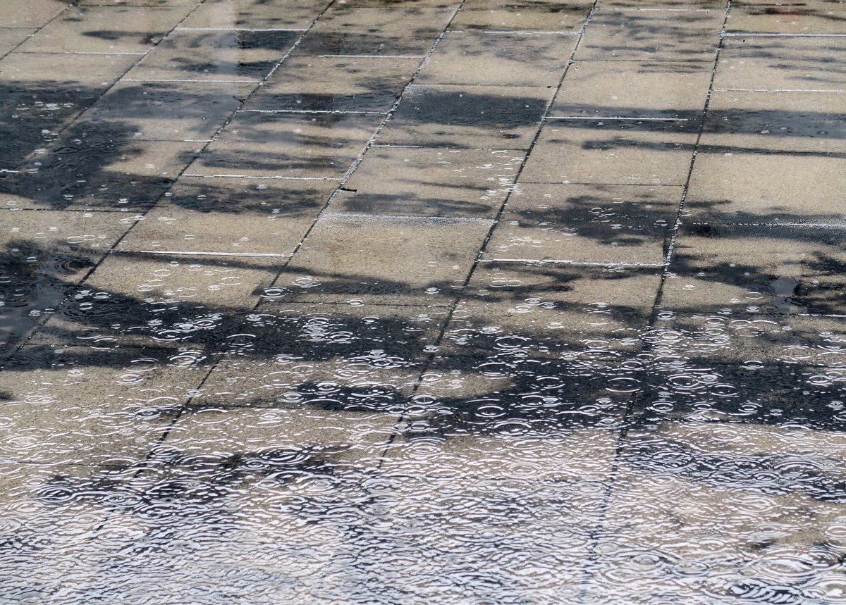 Ruth_HBroadbent's tweet photo. Shadow drawing in rain by Jane Wafer. More images of  'The Language of Line' @glass_tank on Facebook @ruth.broadbent.artistpage  #drawing https://t.co/WwuJPpk1QY