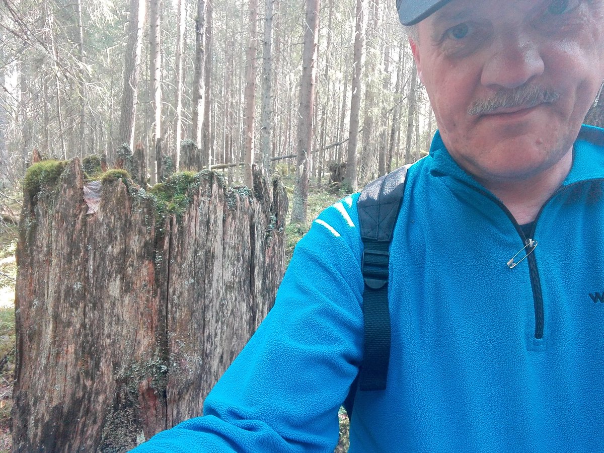 LoikkanenToivo's tweet photo. Tervaskanto ja "toinen kanto kaskessa". Koloveden kansallispuiston polulla patikoimassa. #Kolovesi #luonto #kansallispuisto #tervaskanto https://t.co/hIi0uOCJ9a