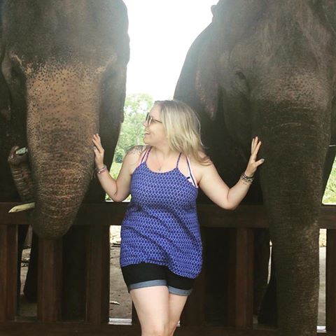 FCMarketMall's tweet photo. Happy #WorldElephantDay Please make sure you visit these beauties responsibly... Let's get you to these elephants in Laos on a Topdeck Trip🐘 https://t.co/yP6ktXQLx0