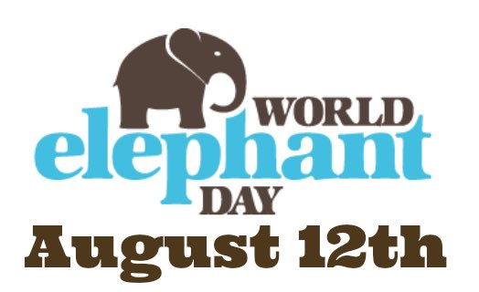 SimplyElephants's tweet photo. HAPPY WORLD ELEPHANT DAY! 🐘 

Retweet to show your support of the most gentle, beautiful, and brilliant animals on Earth! https://t.co/SuIOnsi8t4