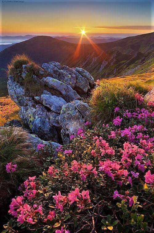 ~~❤❤Ma jolie...💖💖😢😢

youtu.be/Zk27hKhuiyg