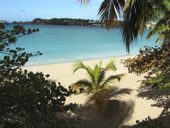 USVIHTA's tweet photo. The Emerald Beach Resort is the perfect stop before, during or after a #VI Charter. https://t.co/ATnTpNgjoE #caribbean #usvi #USVIHTA #beach https://t.co/B70L9YWiMo