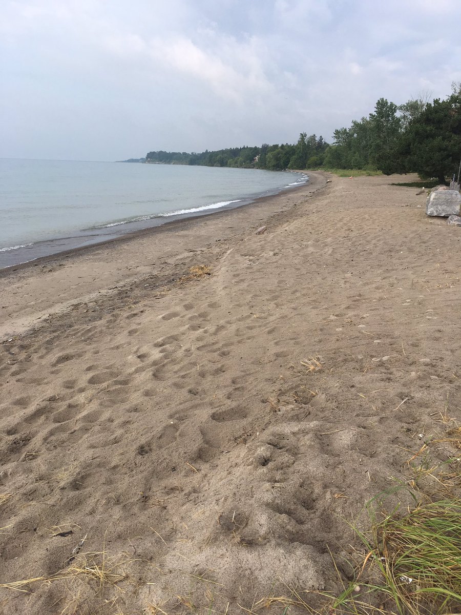 vlmulya64's tweet photo. Saturday morning #run 🏃🏻‍♀️done ✅ Beautiful day!  Have a great day!  #running #halfmarathontraining #whereirun #runpics https://t.co/BnbgrGPBmD