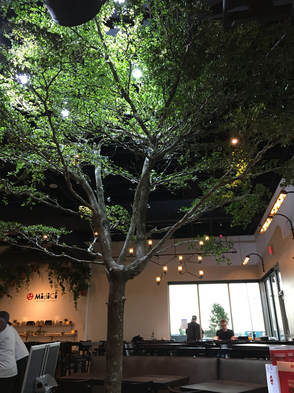 HarmonyCommons's tweet photo. Bringing the outdoors, in! @mymidici is NOT just another pizza place and here's why: https://t.co/iNvfuDQaOA #indoortree #harmonycommons https://t.co/VXhXDeHSKG