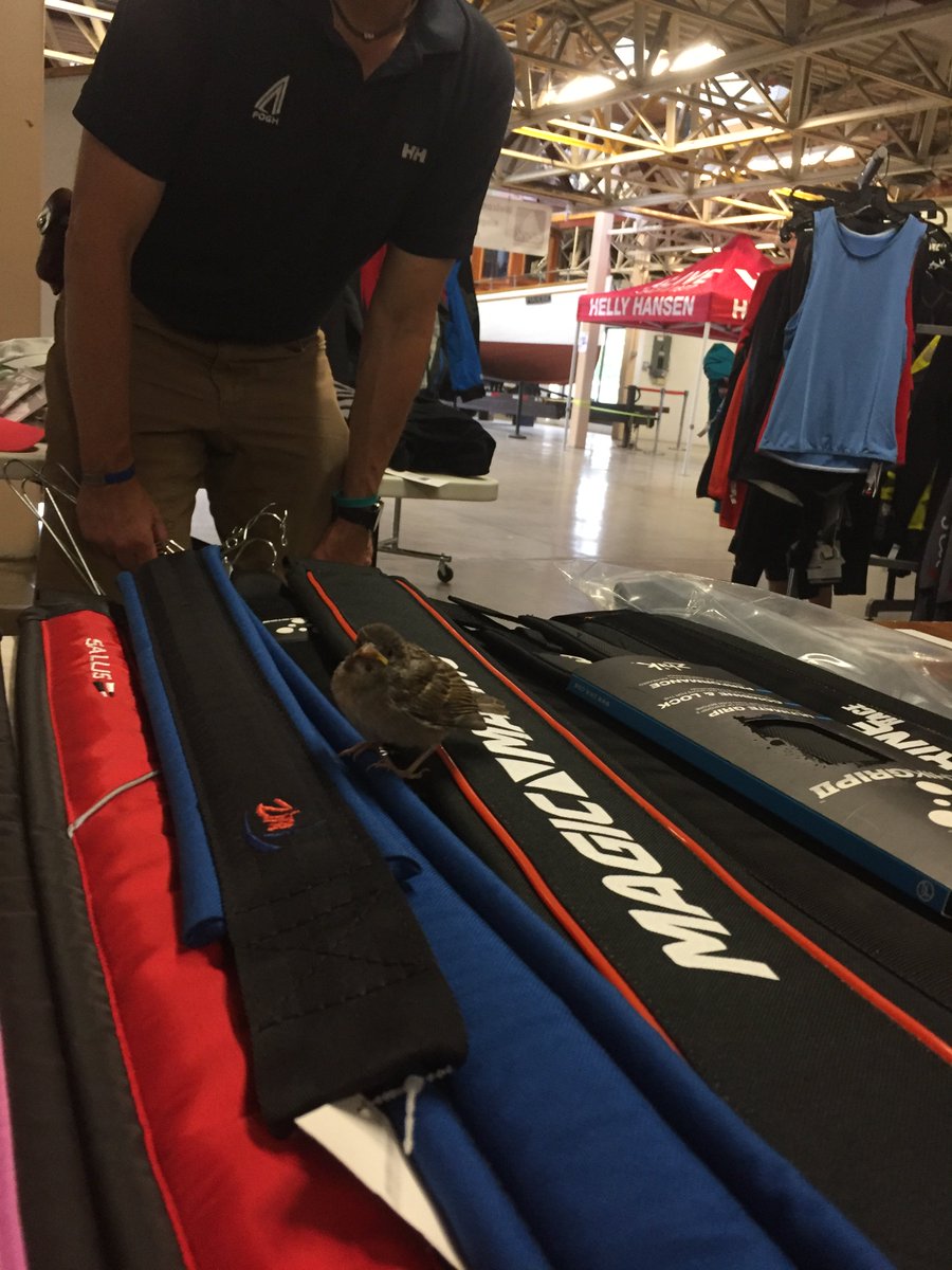 foghmarine's tweet photo. More fun from our #FoghMobileStore at CORK - including a new furry friend that needed a hiking strap! ๐
#FoghMarine #CORK2017 #CORK https://t.co/Bkcibi5TI0