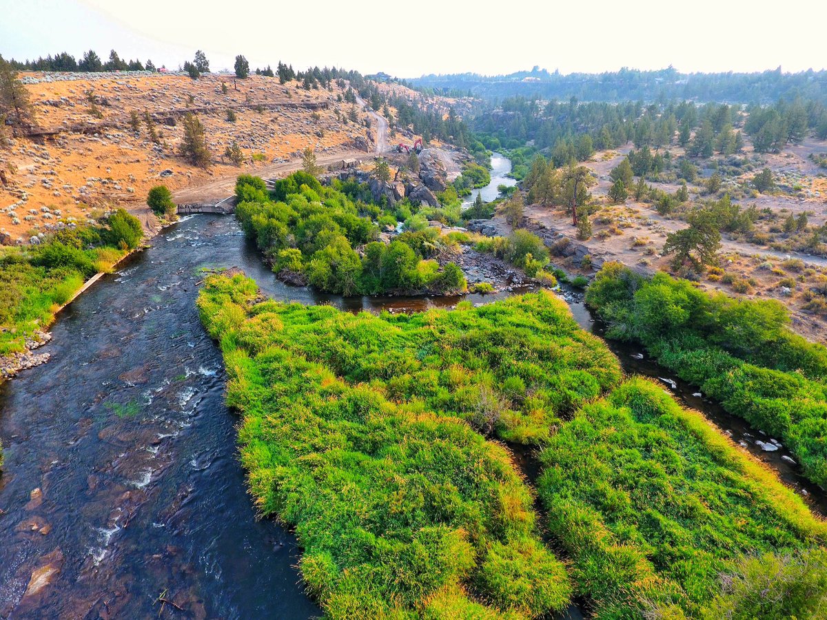 roguebeavers's tweet photo. Stoked to say that some Rogue Beavers took care of business on the #Deschutes River #damremoval #legacy #Oregon @DamNationFilm https://t.co/23MHPP91sa