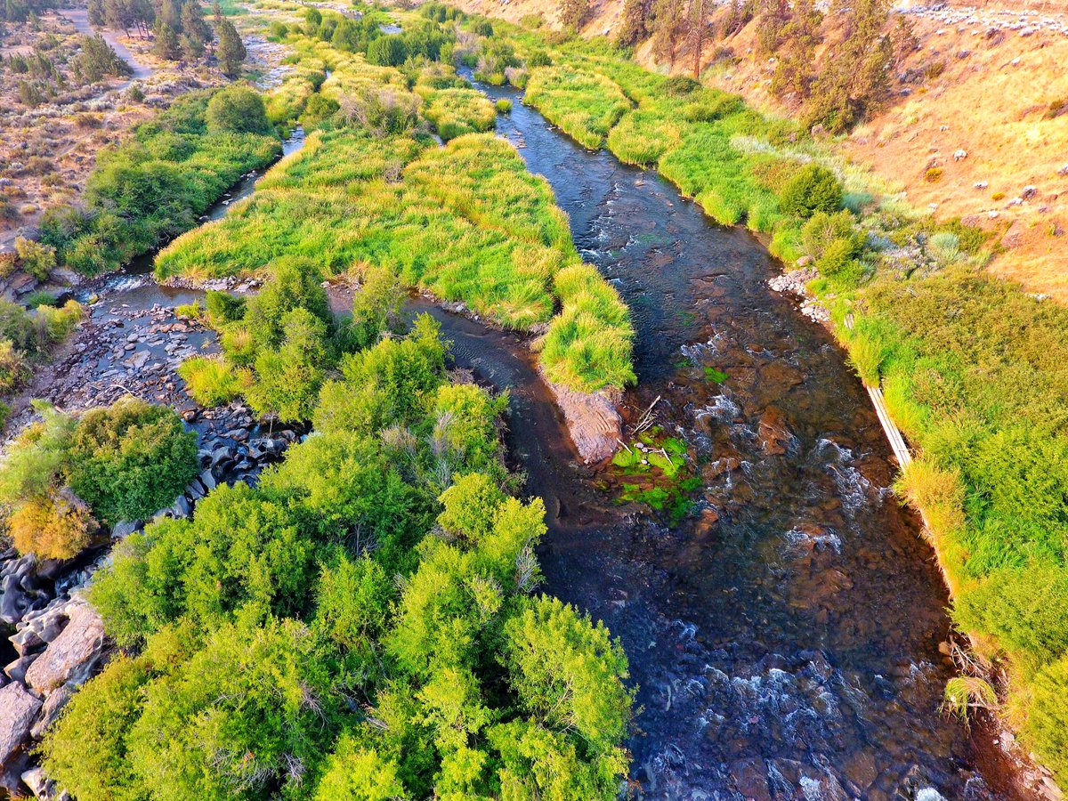 roguebeavers's tweet photo. Stoked to say that some Rogue Beavers took care of business on the #Deschutes River #damremoval #legacy #Oregon @DamNationFilm https://t.co/23MHPP91sa