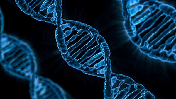 SvethardwareCZ's tweet photo. #Vědci zapsali počítačový #vir do #DNA a napadli počítač: https://t.co/0r0vNWDz3v #malware #virus #DNAvirus https://t.co/i1O9zRuOdQ
