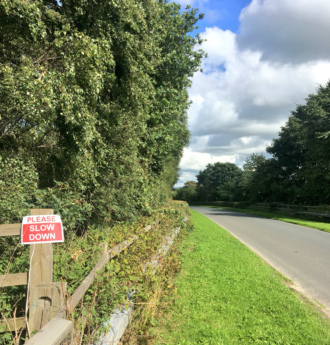 Paccioni's tweet photo. Getting the job done for my local parish counsel - making signs visible #wecanonlytry #slowdown 🚸‼️ https://t.co/SlmEj7JAB3
