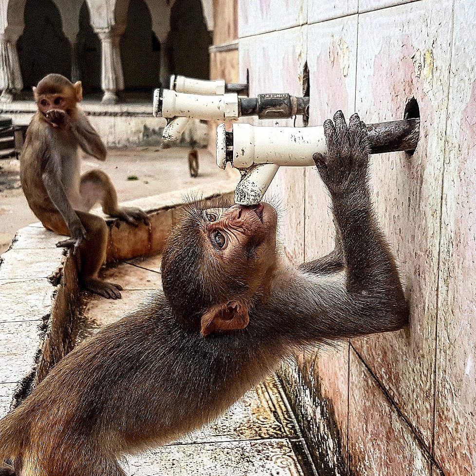 alvarocuadrado's tweet photo. #IndiaSquare selecciona una de mis fotos sobre la #India para su catálogo. Seguiré mostrando el mundo según los ojos del viajero. https://t.co/nyLFgNYry9