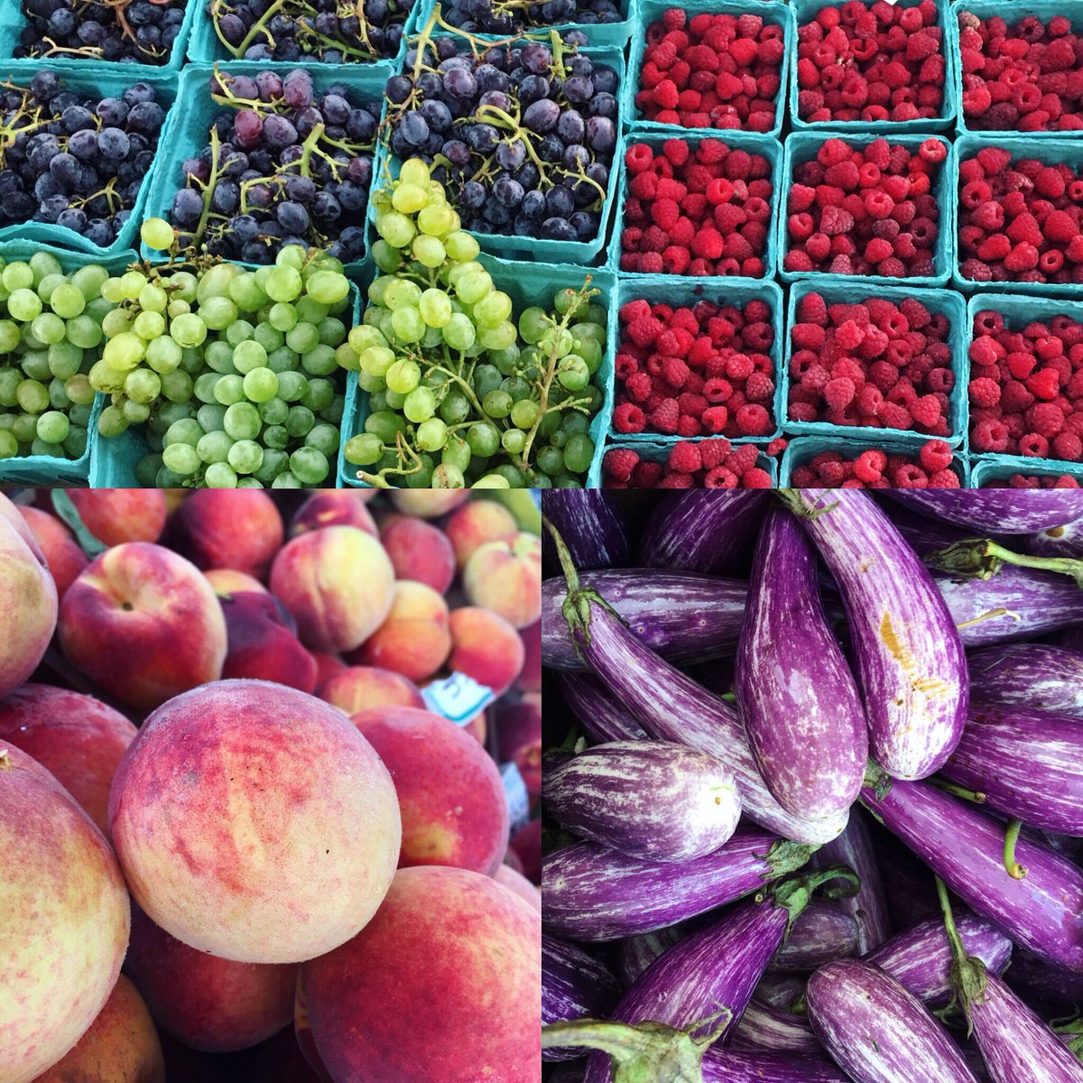 New Morning Farm tweet media