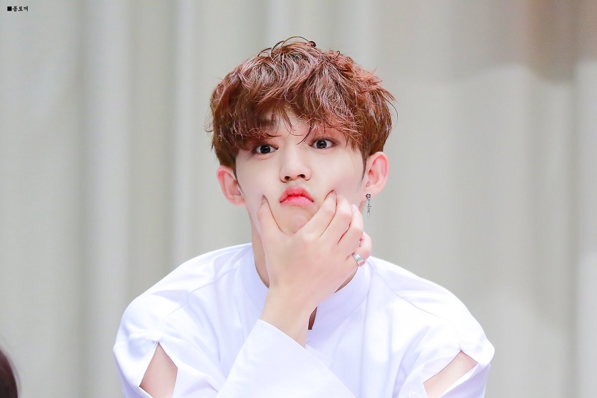 svtscoup's tweet photo. @kminkyungh Terimakasih sudah berpartisipasi buat event kali ini. Hati hati dijala/? Dapet bonus nih.
Tahan sama seungcheol yang kiyowo?😏 #PB2SPARTY https://t.co/IYgdKKmnIq