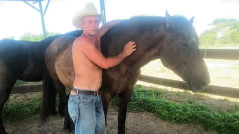 HorseSisters's tweet photo. Sweet #carriage #horse #Raven #PMU #Percheron #draft #horse #1700 lbs. #rescue #HorseSisters #ranchforeman https://t.co/nsV722CLwG