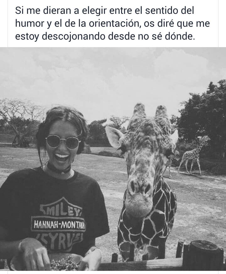 albacs87's tweet photo. Muy yo....@Juanitoarco13 yo no puedo ni elegir jajaja https://t.co/YknuVJejYq