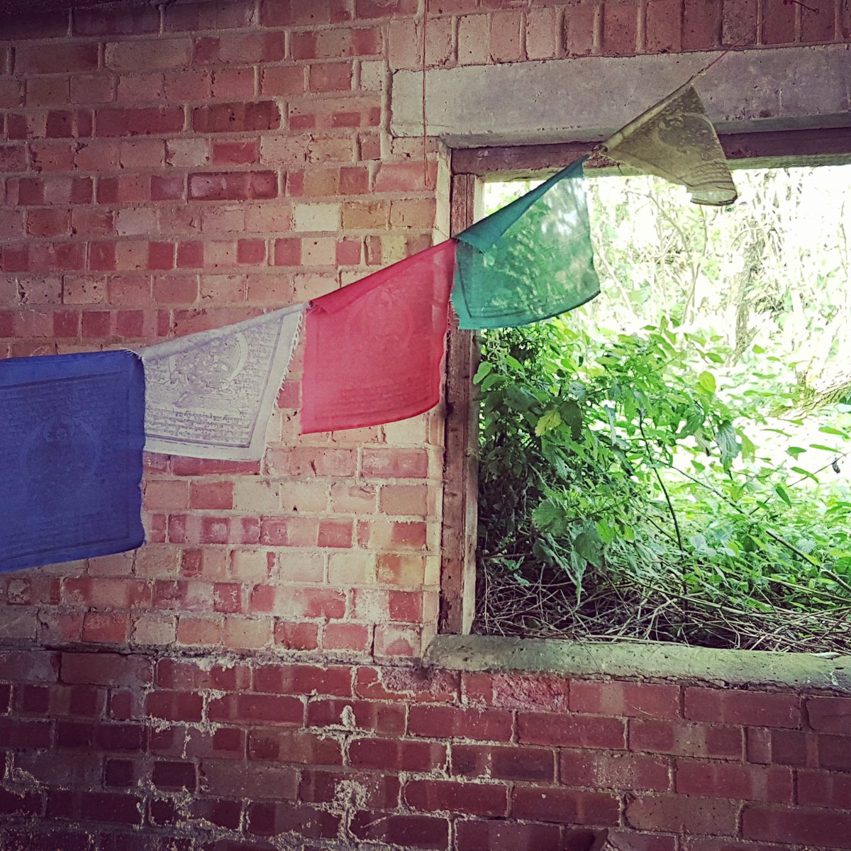 LisaBliss's tweet photo. Loving life down on the farm
#chantryfarm #prayerflags #blowinginthewind https://t.co/fCtvAQSSdp
