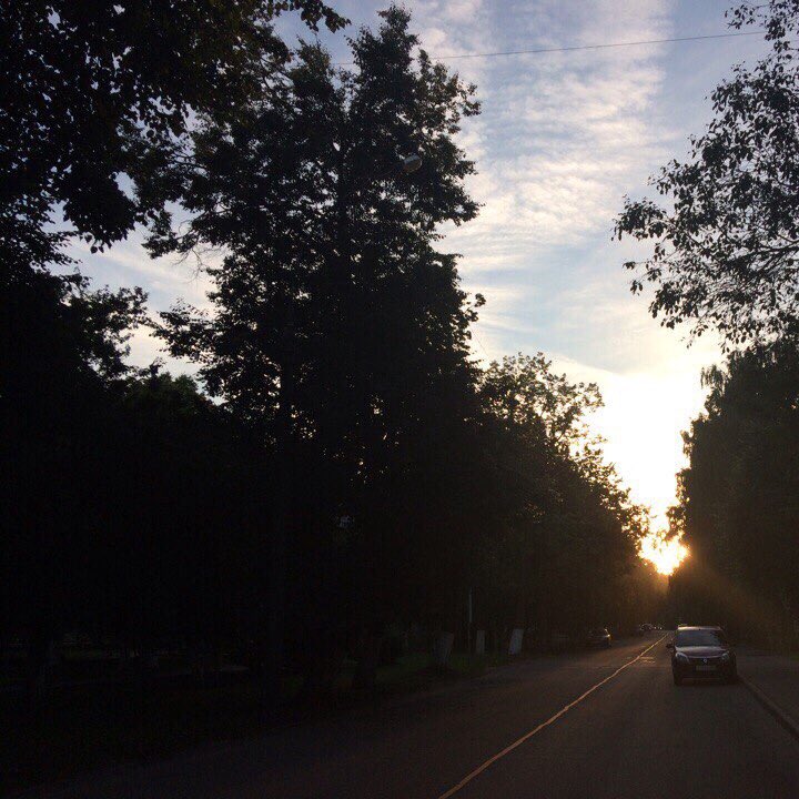 ObsessedEst's tweet image. 