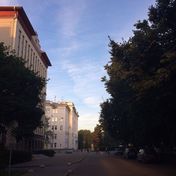 ObsessedEst's tweet image. 