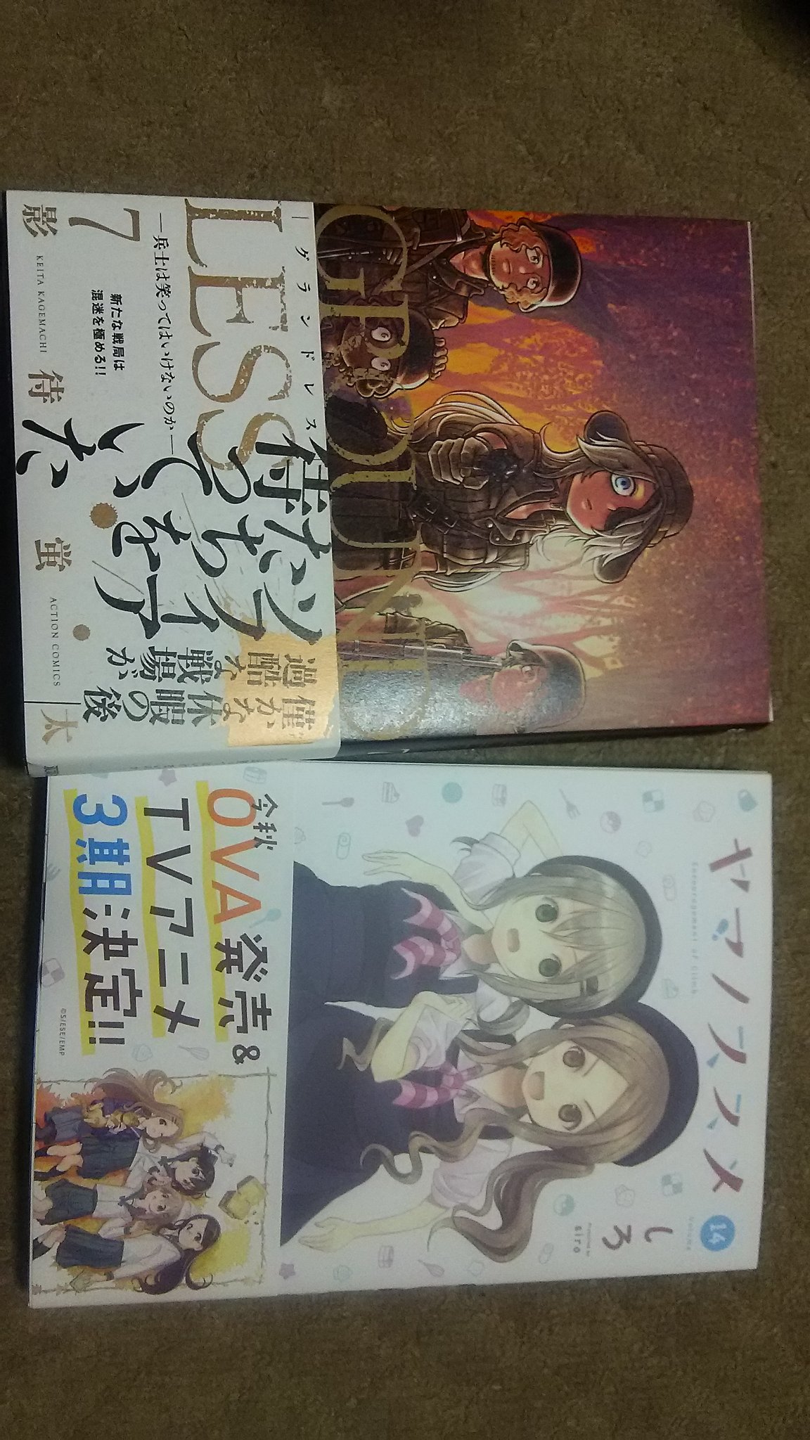 かいちょう 仕事帰りにグランドレスとヤマノススメの新刊買ってきた グランドレスは面白いのでお薦めです