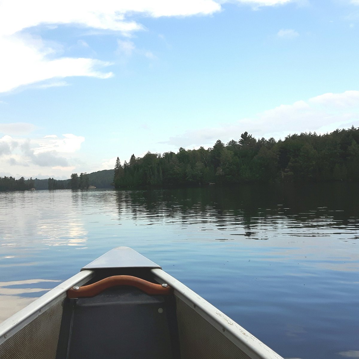TheresaKerr's tweet photo. Beautiful day on the lake #AlgonquinPark #OntarioProvincialParks #TeaLake https://t.co/F7ekFlaUMo