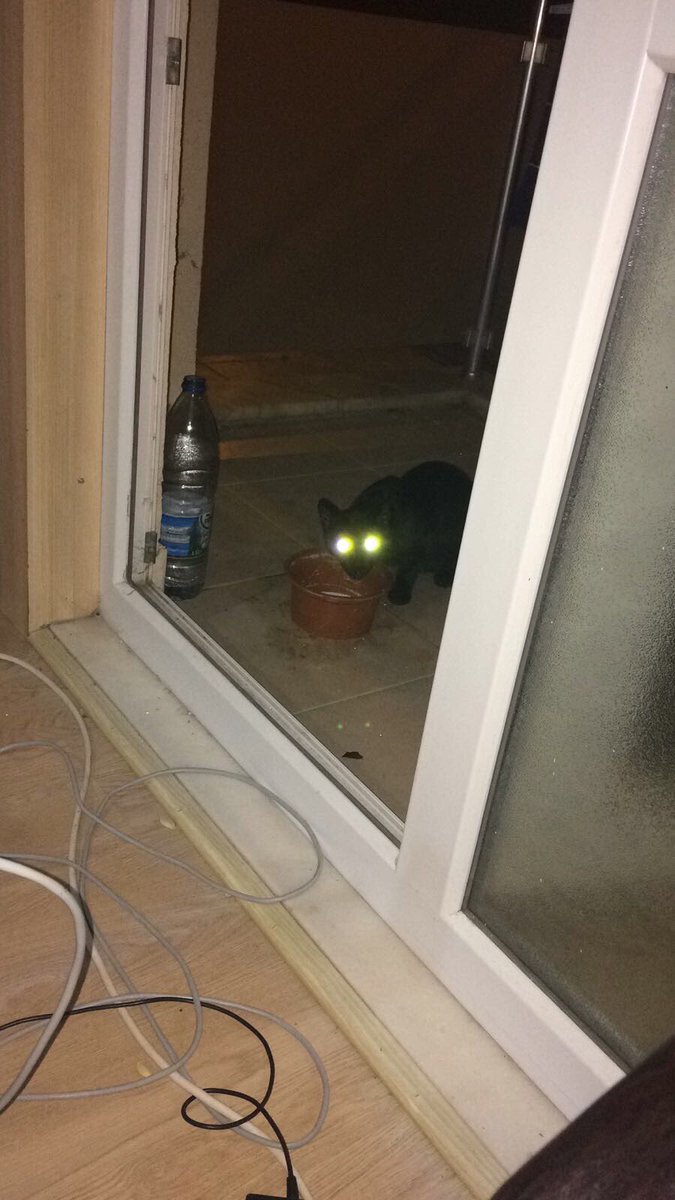 Önceki kiracının notu