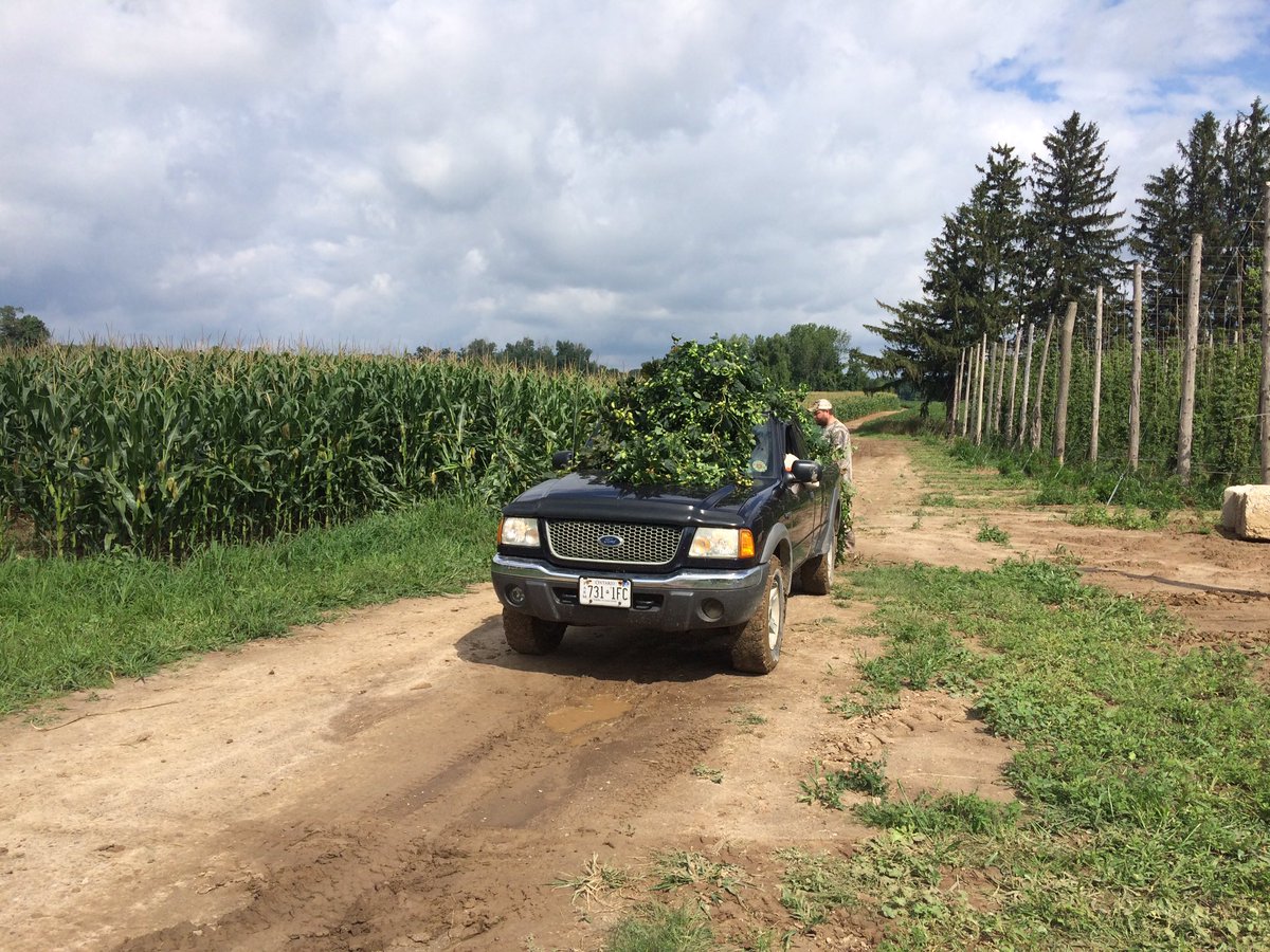 lex raben tweet media