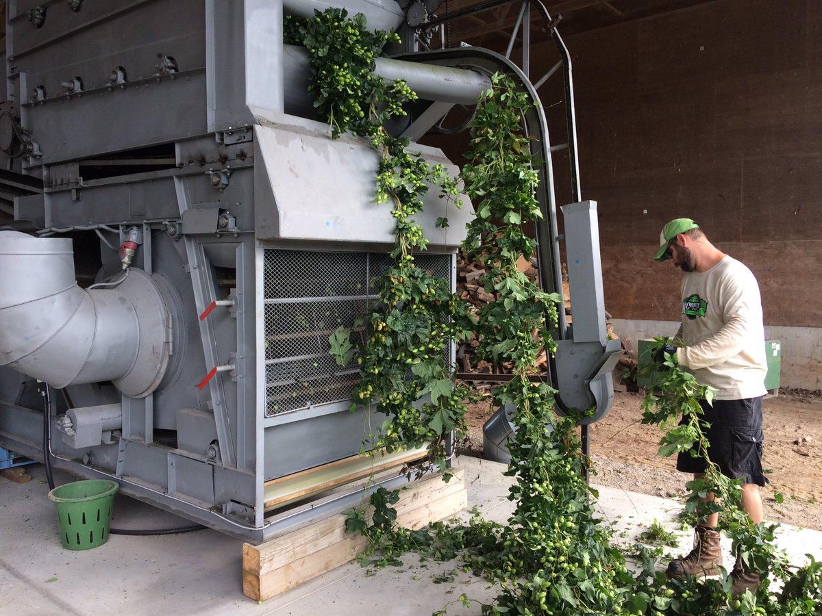 lex raben tweet media