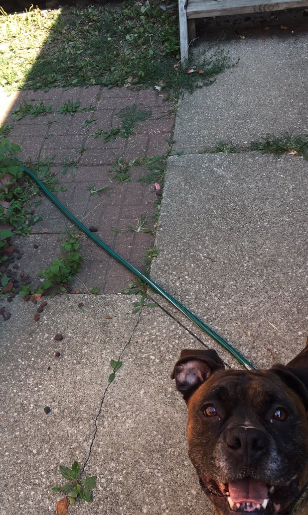 cloiemoore's tweet photo. open for a surprise! https://t.co/uFhqL0UW6P