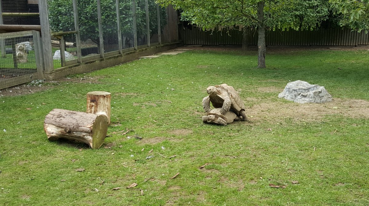 Roger Clarke tweet media