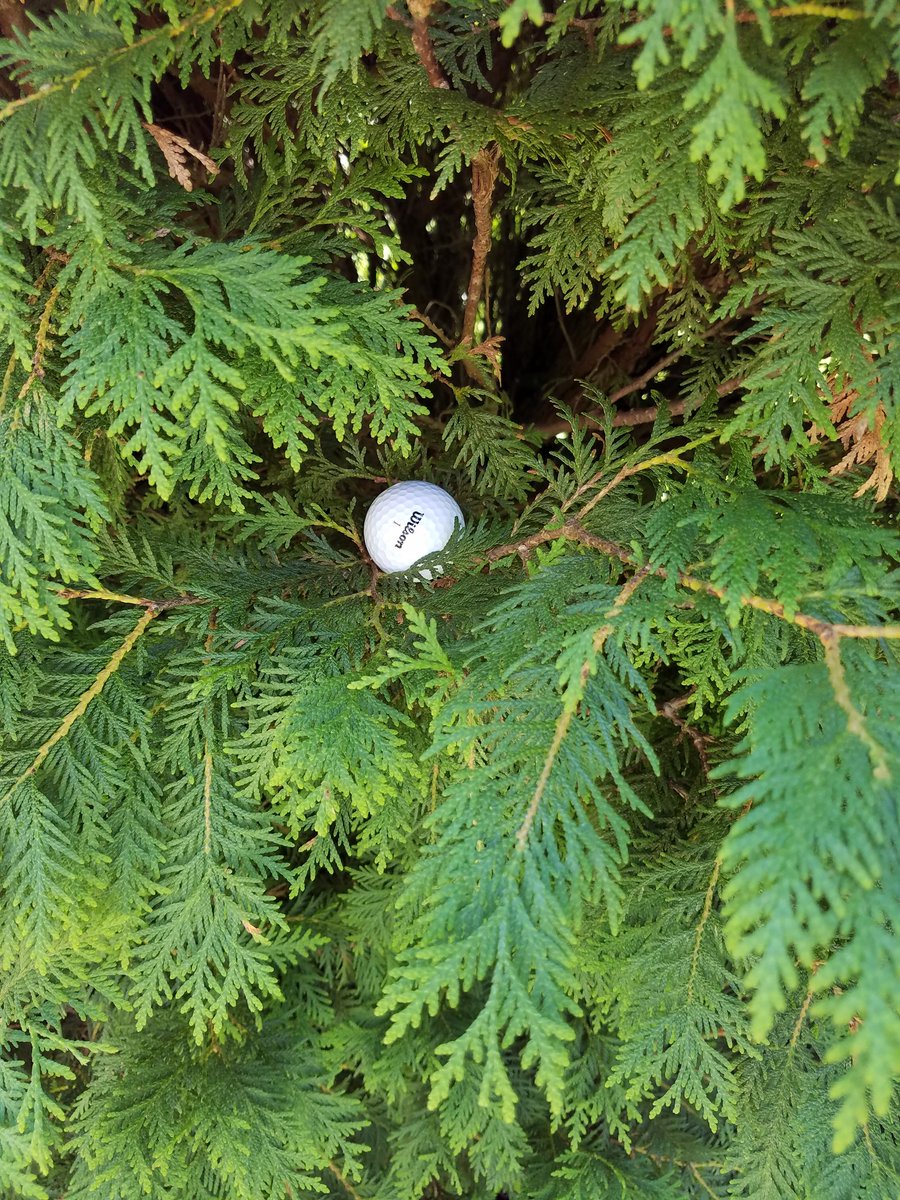 tcarwine's tweet photo. @sixpackopen Zeb and Arnold 6 tee box #shotof the day https://t.co/7ppoKcJH9a