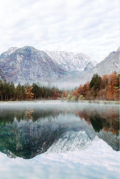 Spavia Day Spa tweet media