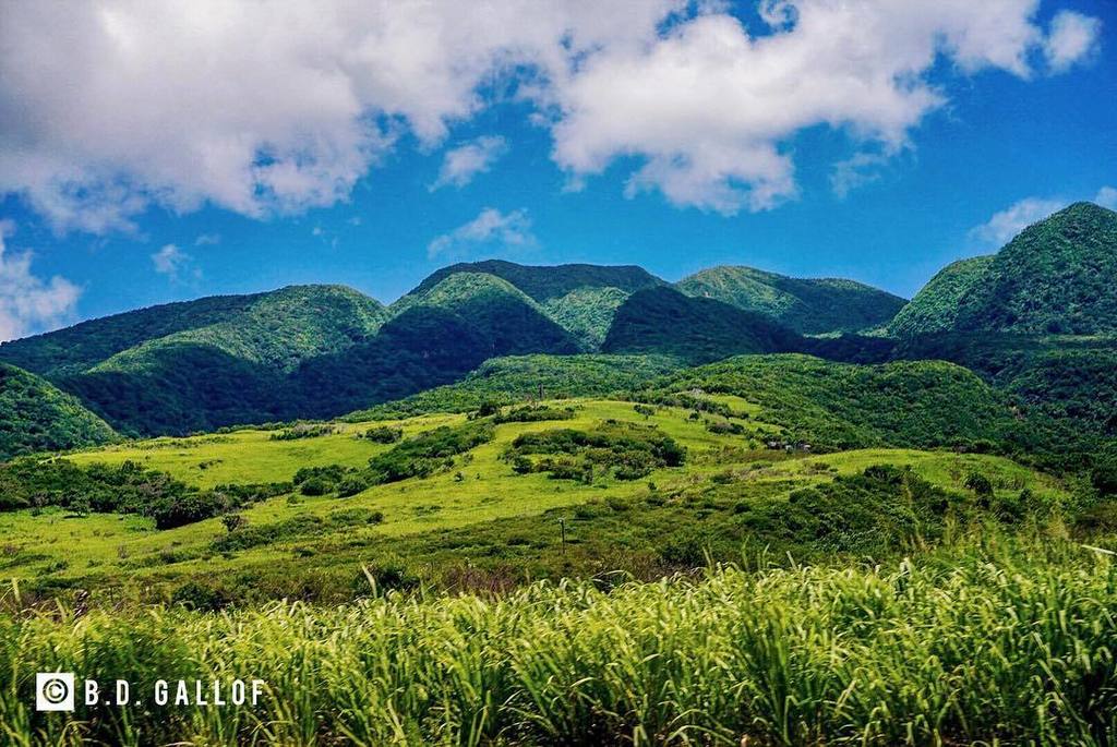 BDGallof's tweet photo. Some rolling hills in St. Kitts #basseterre #nature #natureshots #naturephotography #fabskyshots #mextures #stkit… https://t.co/fNvn6Hs0XG https://t.co/9exv7P9mrG