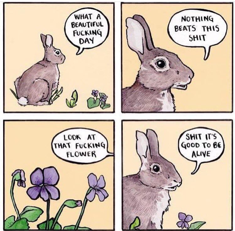 Always find a way to look on the bright side 🌞