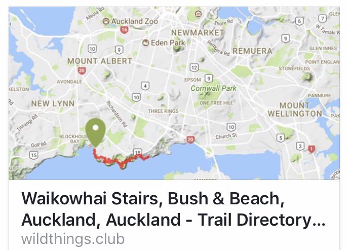 WILD THINGS NZ tweet media