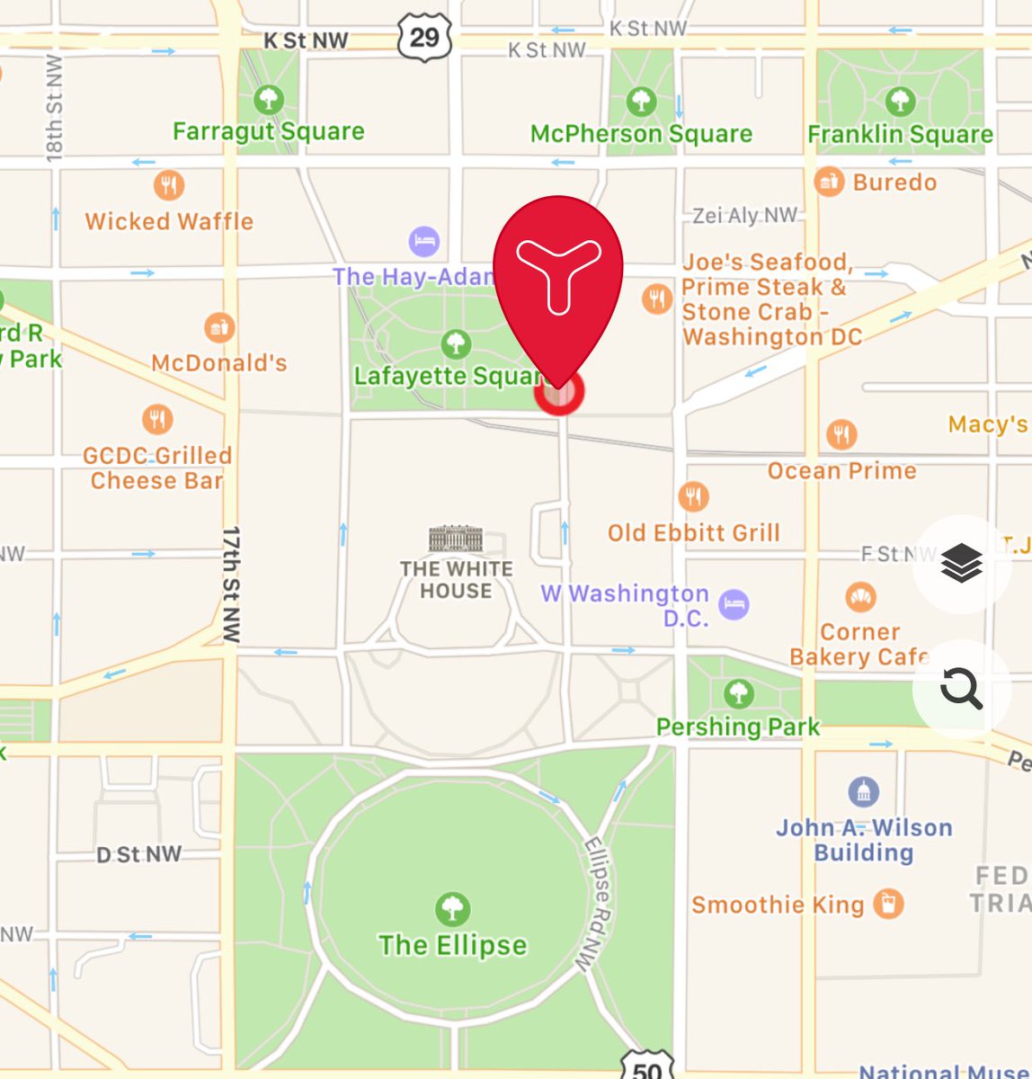 BearbyVonB's tweet photo. WE MADE IT. EARLY EVEN! I CANNOT BELIEVE IT. #GetTheBearThere #MrBearbyGoesToWashington https://t.co/33LhvCRH8B