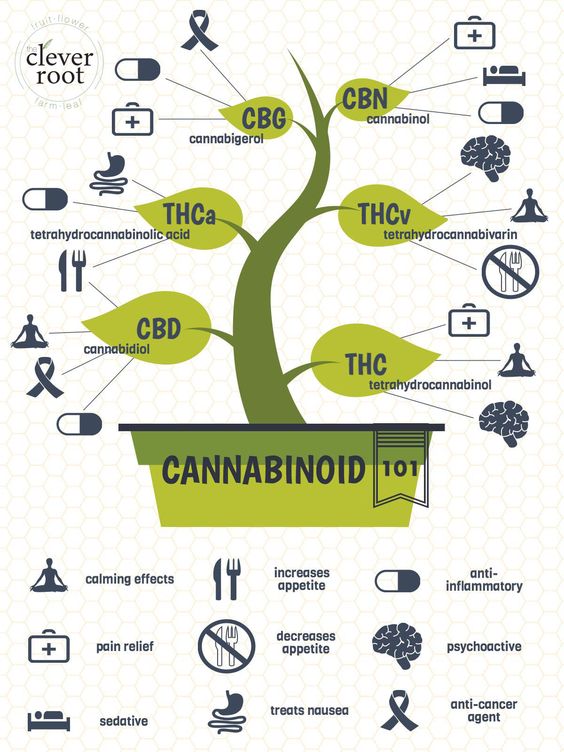 TheHigherPathLA's tweet photo. CBD & THC are great, but are you familiar with the benefits of other cannabinoids present in cannabis? #TheMoreYouKnow #TheCleverRoot https://t.co/cb5shfIW1Z