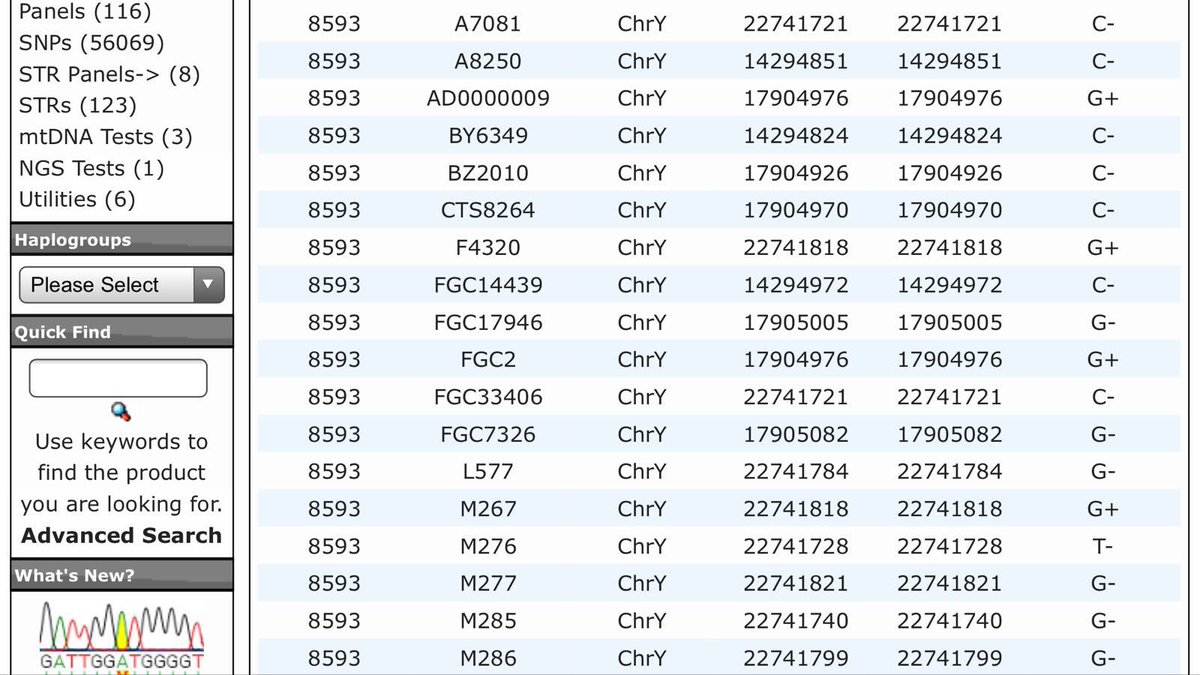 يسرني أن أعلن نتيجة بني هلال العراق ( الزغبيين ) على التحور العامري الهوازني FGC2 وهي سالبه لجميع التحورات في الشريحه وموجبة فقط لل FGC2