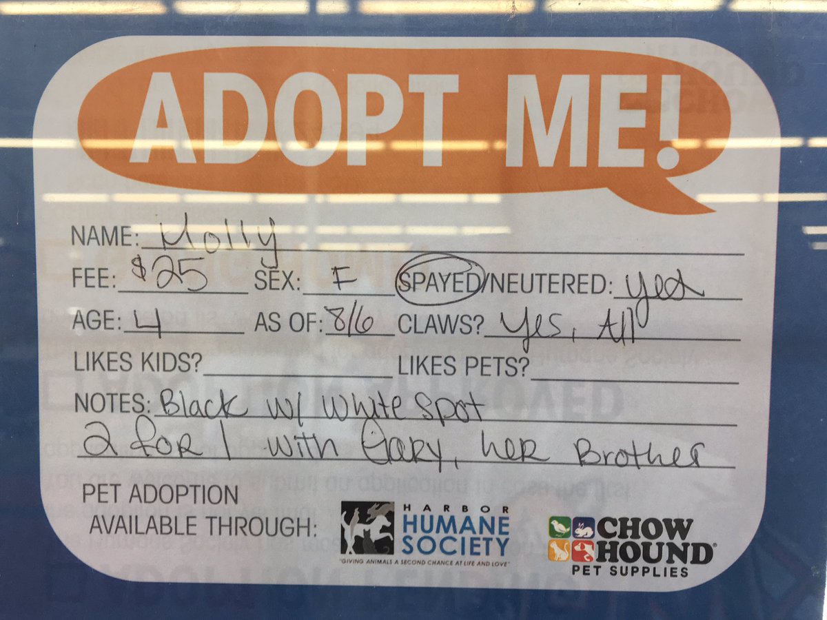 Molly and Gary are sweet siblings who need a home together. ❤️@ChowHoundPet in Grand Haven, MI! #adoptmeplease <a href="/NewLeashUSA/">NewLeashonLifeUSA</a> <a href="/HarborHumane/">HarborHumaneSociety</a>