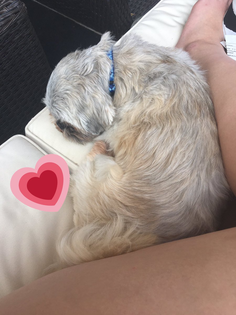 time2slime's tweet photo. he's snoozin https://t.co/fkMHl5S6Lf