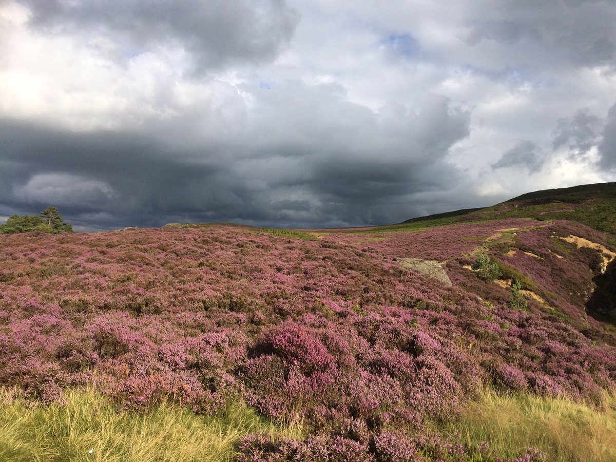 LizBaddaley's tweet photo. The #DramaticBeauty of #IlkleyMoor - steals my heart every time... https://t.co/TEfVzrxdoc