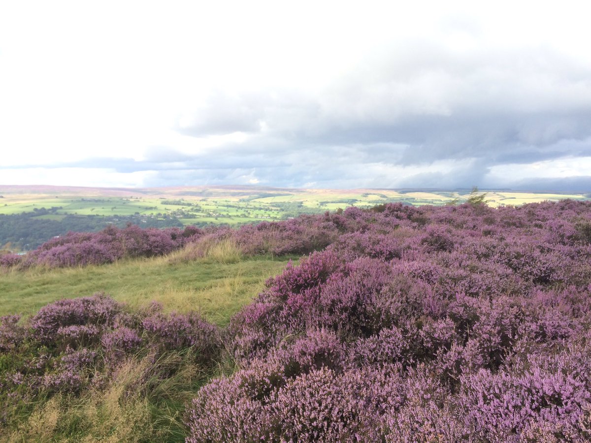 LizBaddaley's tweet photo. The #DramaticBeauty of #IlkleyMoor - steals my heart every time... https://t.co/TEfVzrxdoc