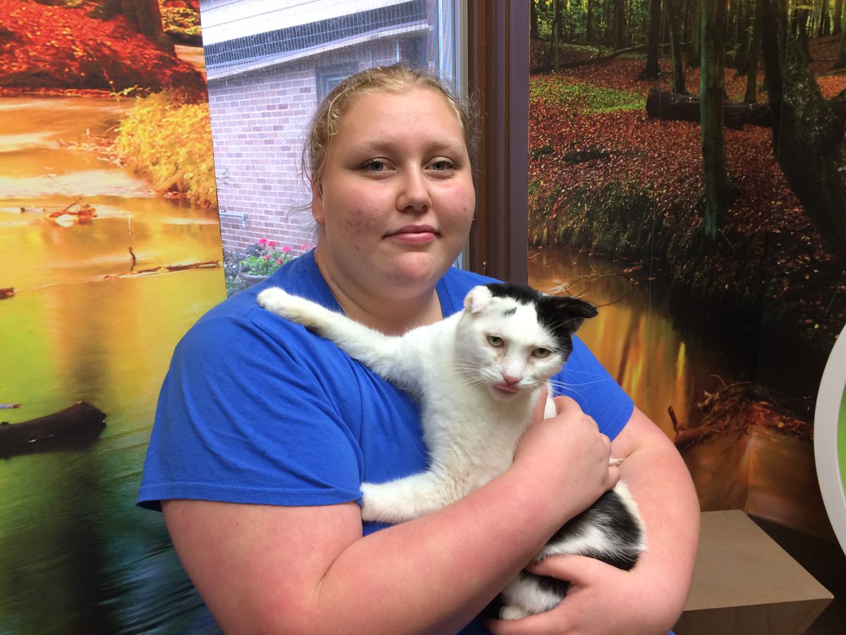 meggie_moo7's tweet photo. @NewLeashUSA #adoptmeplease he's the sweetest cat in the world, he cuddled me the whole time! @LincolnCountyHS Go and visit him! https://t.co/fvK5HGAO5v