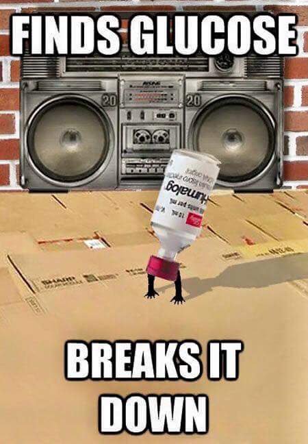 ChaseGreen63's tweet photo. @summergirl4562 https://t.co/nxcgd25GX5