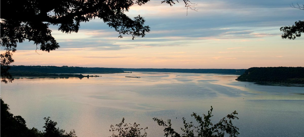 WaltonFamilyFdn's tweet image. 40% of streams in the #MississippiRiver watershed are impaired by nutrient run-off, putting the river at risk: bit.ly/2uQKUjQ