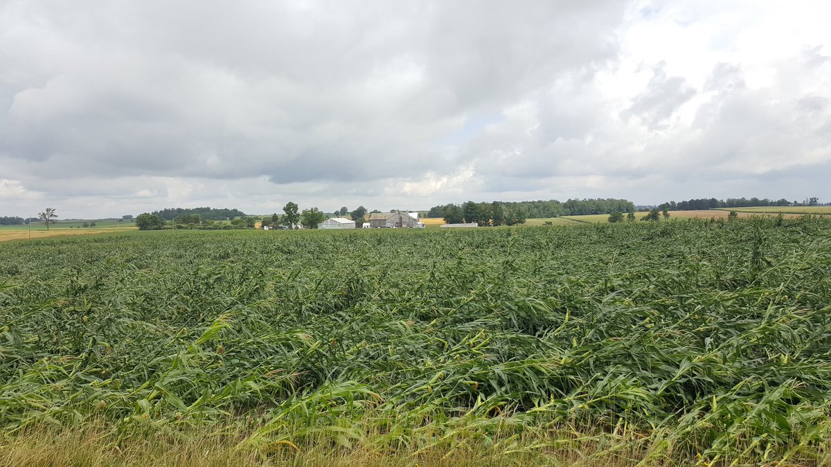 peter_draper's tweet photo. Just some of the damage near Hawksville as a result of last night's EF-2 tornadoes. Thankful, no injuries as we understand it so far. https://t.co/XQiNswwdar