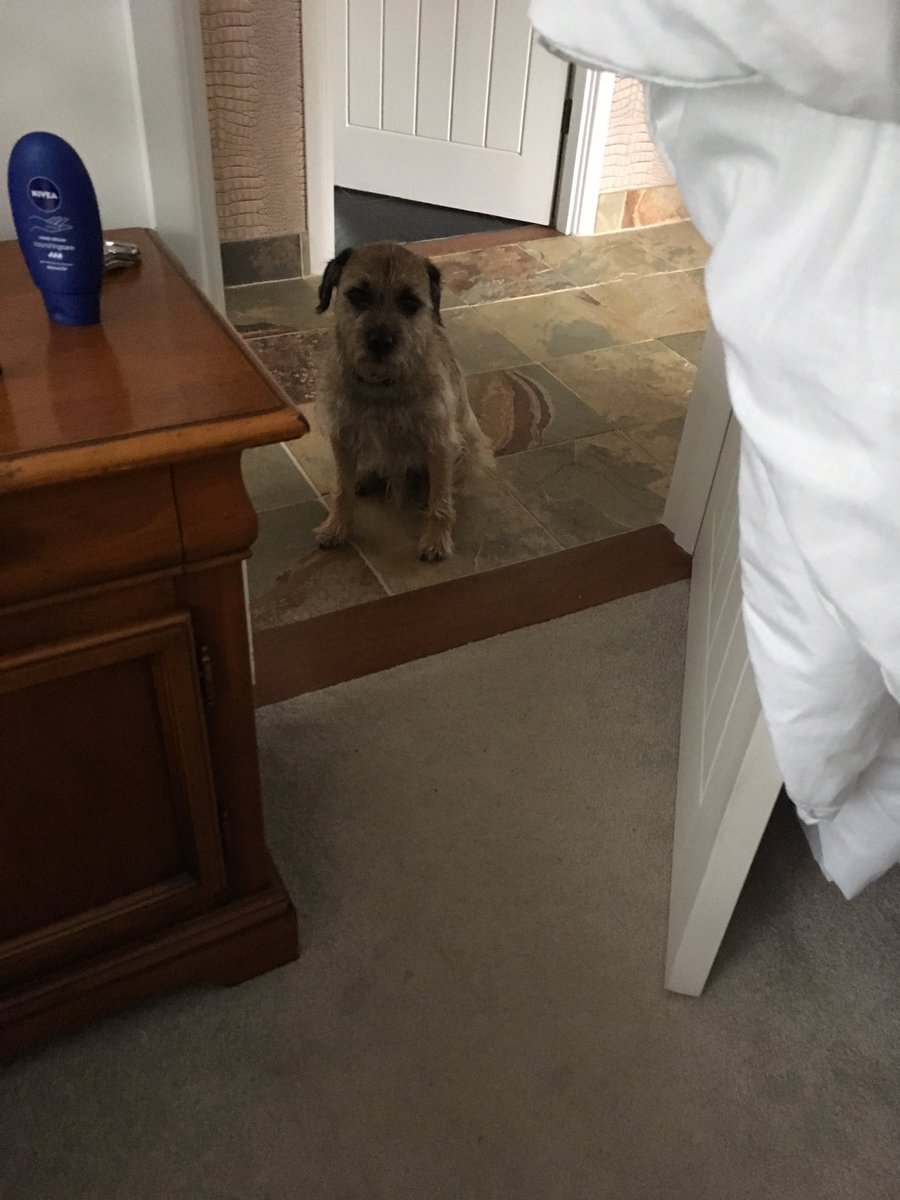 A_Grant71's tweet photo. Waiting for the bed to be made 🙄 https://t.co/quR8OIE93X