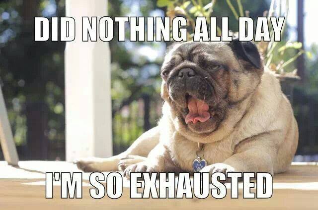 leisureleash's tweet photo. Happy Saturday.  Enjoy, have fun, relax! #Saturday #familyfun #relax #leisureleash #weekend https://t.co/woP452zUkt