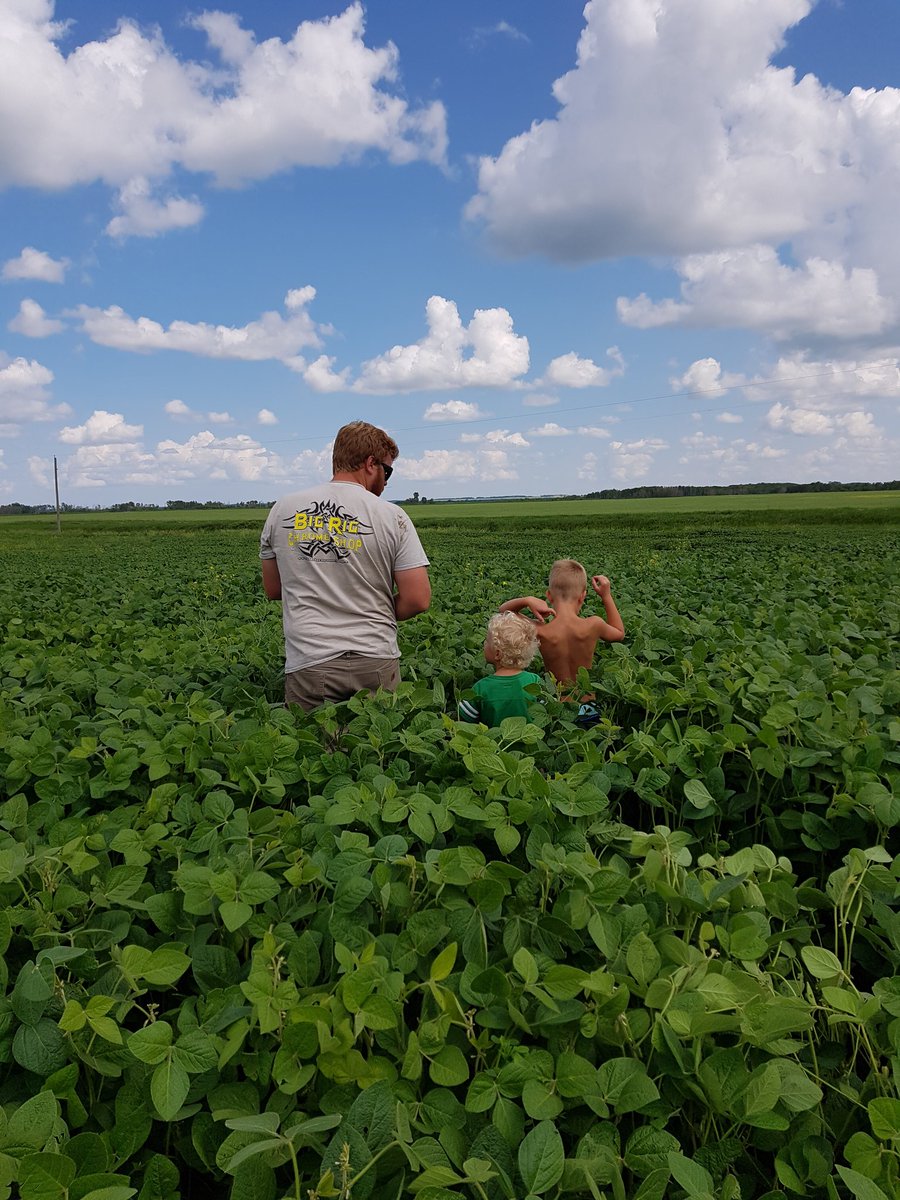 workinthedirt's tweet photo. Best co workers a guy could ask for. #checkingbeans #farming #961santaluciacontest https://t.co/7ryXXvqh7E