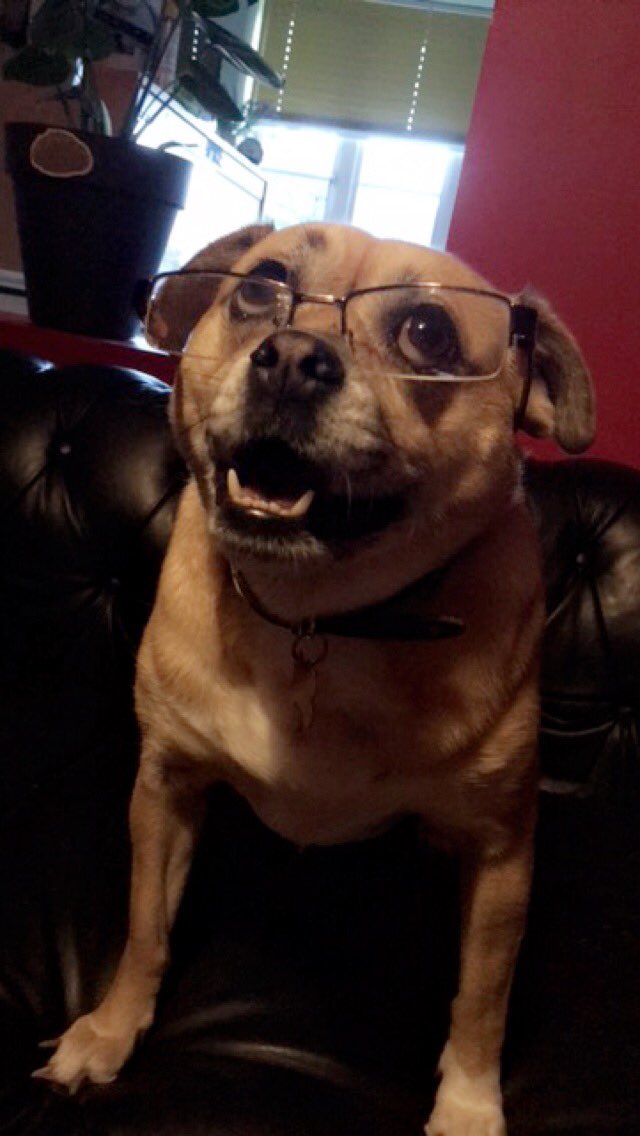 MoolayShibe's tweet photo. Office is lit https://t.co/47qSTb60Yh